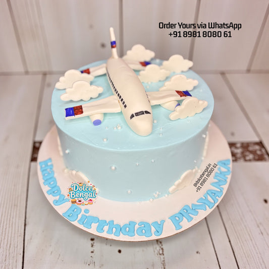 Up & Away Airplane Cake
